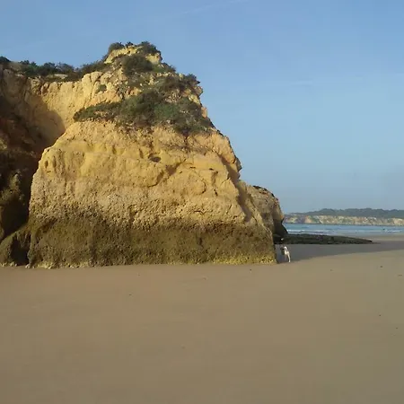 Os Ricardinhos Praia Da Rocha 아파트 *