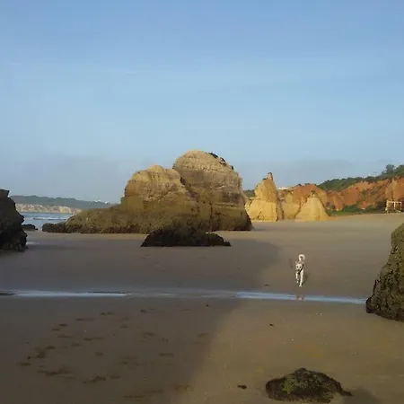 Os Ricardinhos Praia Da Rocha 公寓 *