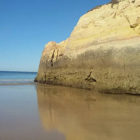 Os Ricardinhos Praia Da Rocha 波尔蒂芒