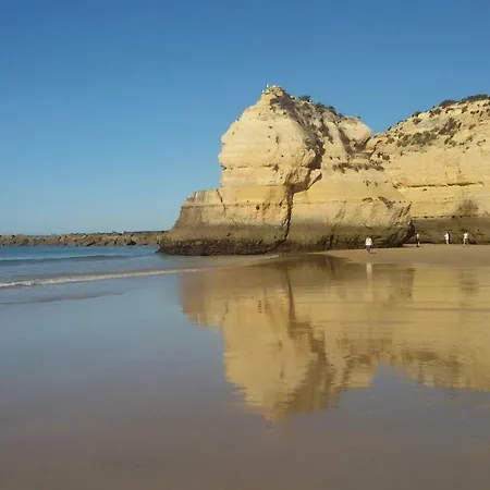 Os Ricardinhos Praia Da Rocha 公寓